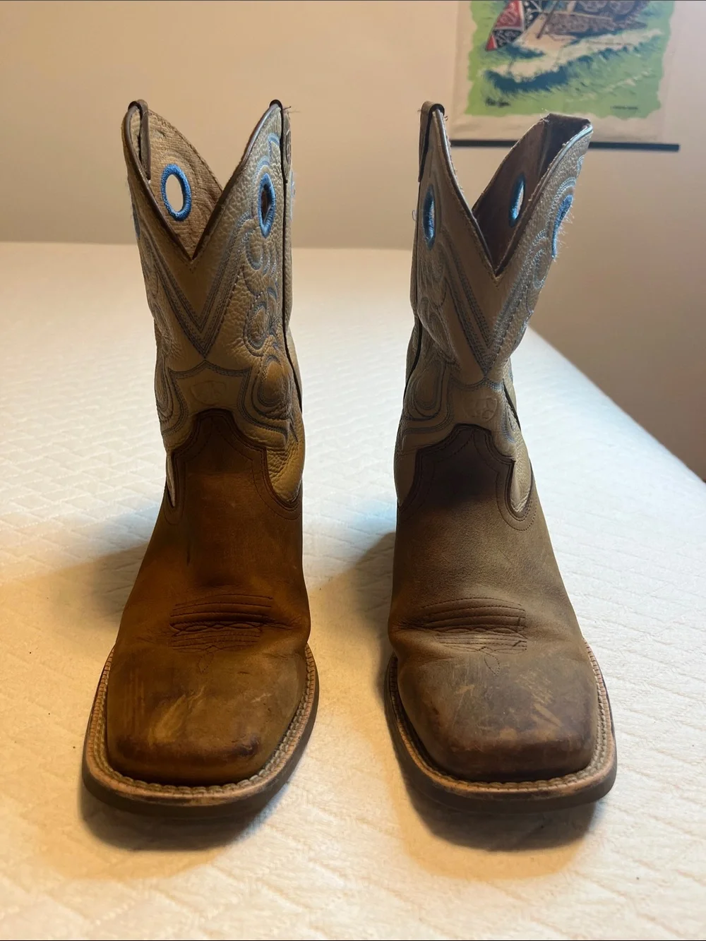 Ariat durable leather
